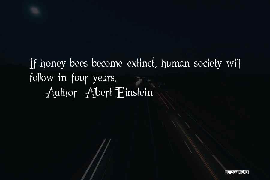 Albert Einstein Quotes 520645