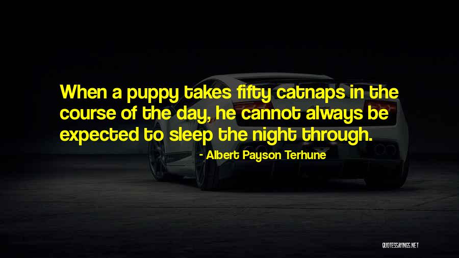 Albert Payson Terhune Quotes 841928