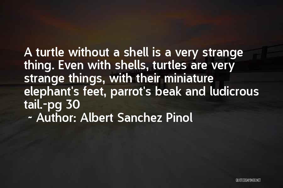 Albert Sanchez Pinol Quotes 381012