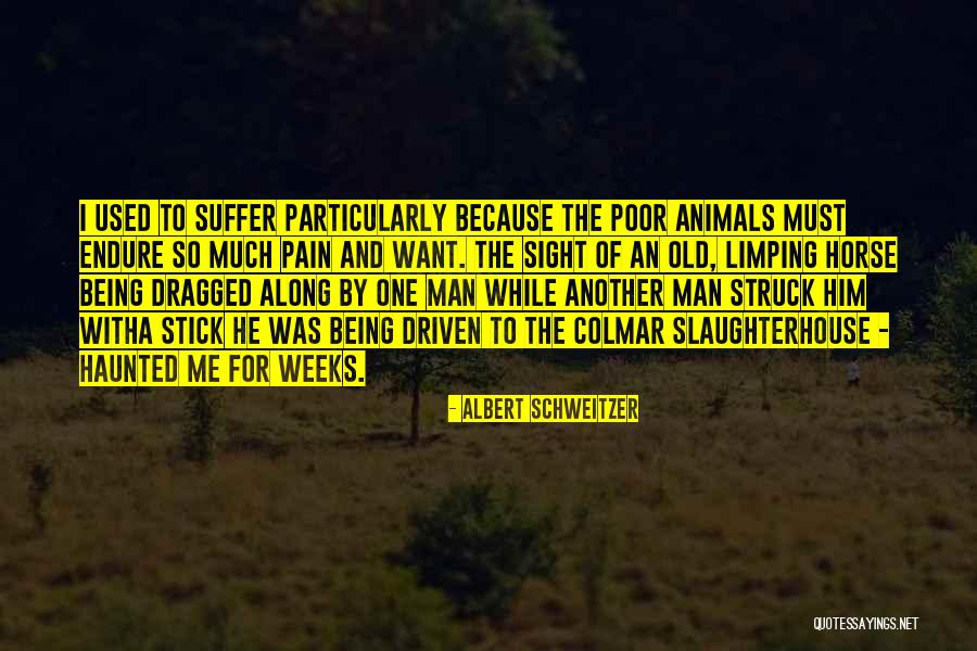 Albert Schweitzer Quotes 1311353 Albert Schweitzer Quotes 1311353