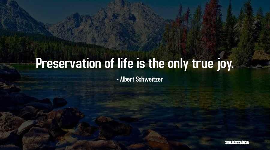 Albert Schweitzer Quotes 1401456