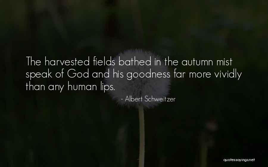 Albert Schweitzer Quotes 1410688