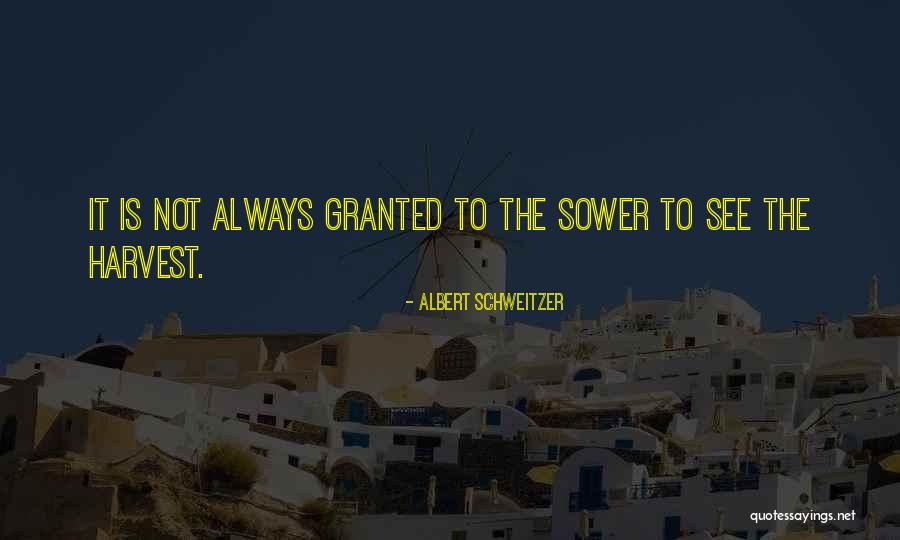 Albert Schweitzer Quotes 1595249