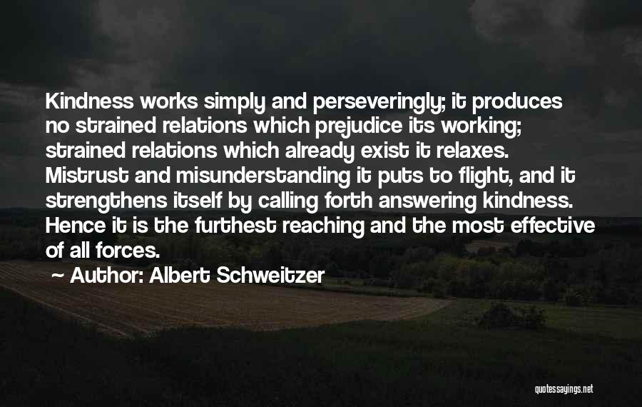 Albert Schweitzer Quotes 236280