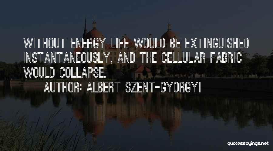 Albert Szent-Gyorgyi Quotes 1104562