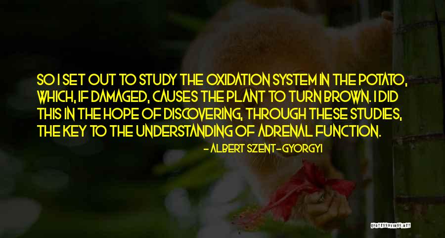 Albert Szent-Gyorgyi Quotes 1123809