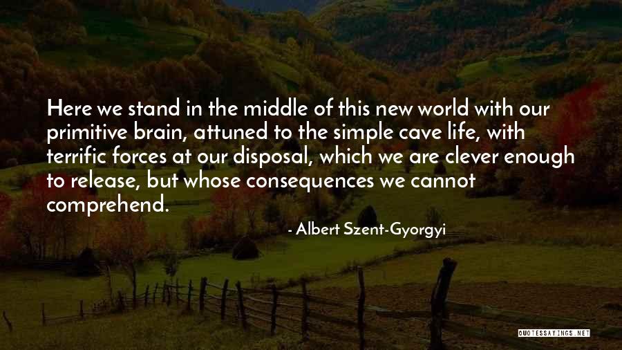 Albert Szent-Gyorgyi Quotes 1427956 Albert Szent-Gyorgyi Quotes 1427956
