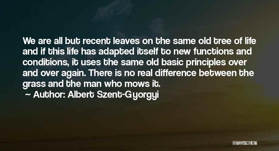 Albert Szent-Gyorgyi Quotes 1690200