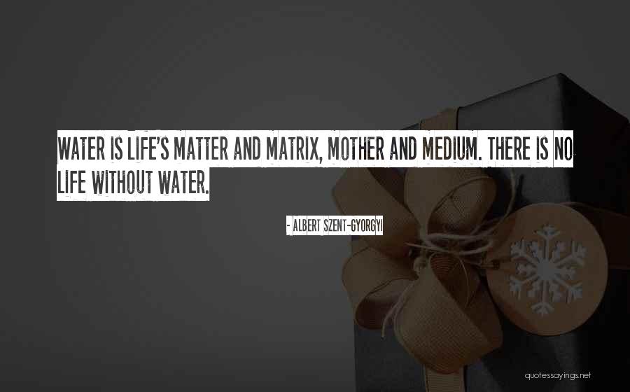 Albert Szent-Gyorgyi Quotes 992872 Albert Szent-Gyorgyi Quotes 992872