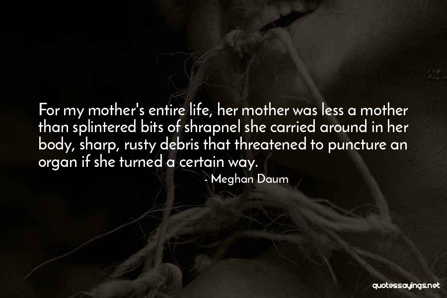 Alberta In Fences Quotes By Meghan Daum Alberta In Fences Quotes By Meghan Daum