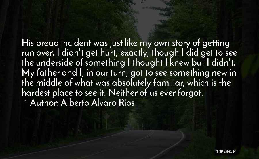 Alberto Alvaro Rios Quotes 2162599