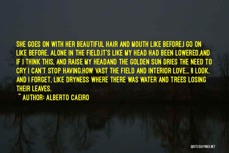 Alberto Caeiro Quotes 828801