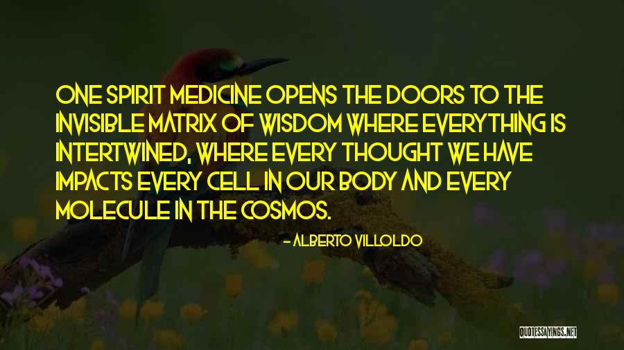 Alberto Villoldo Quotes 1444240 Alberto Villoldo Quotes 1444240