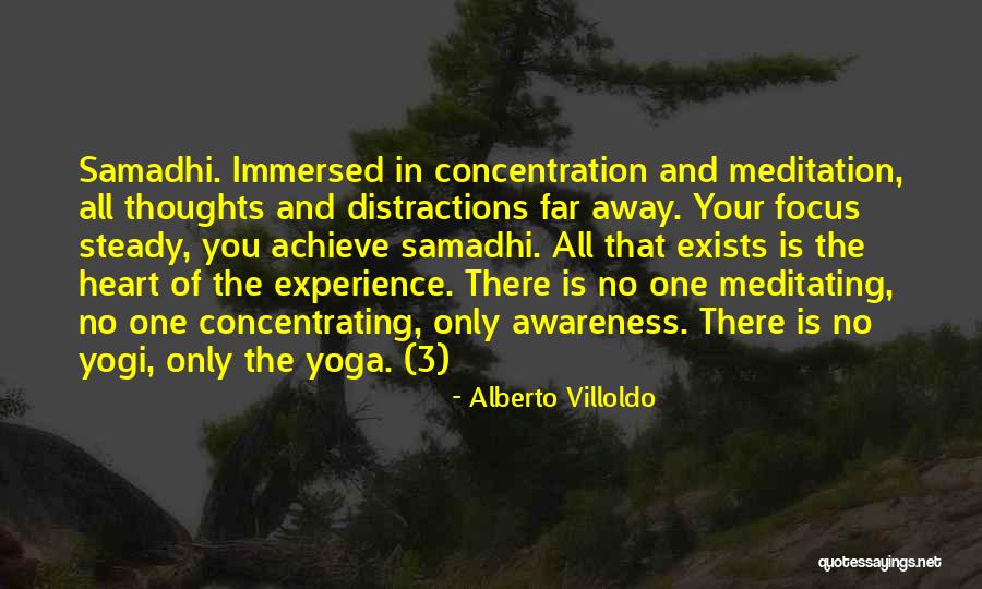 Alberto Villoldo Quotes 370100