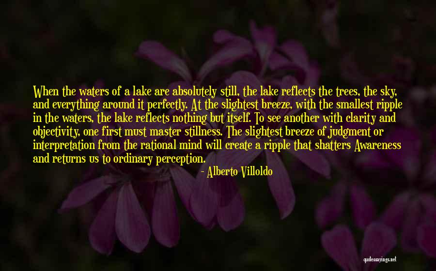 Alberto Villoldo Quotes 874058