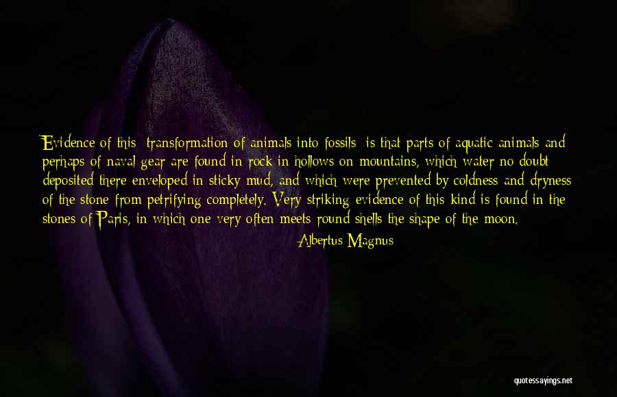 Albertus Magnus Quotes 824148