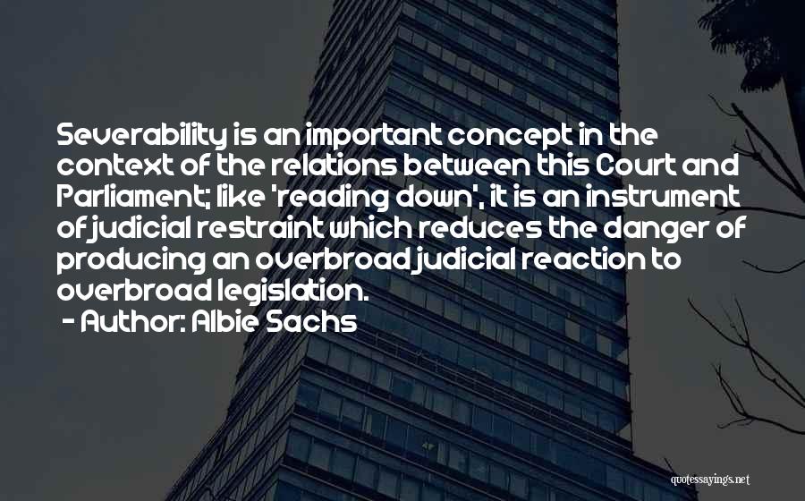 Albie Sachs Quotes 390105