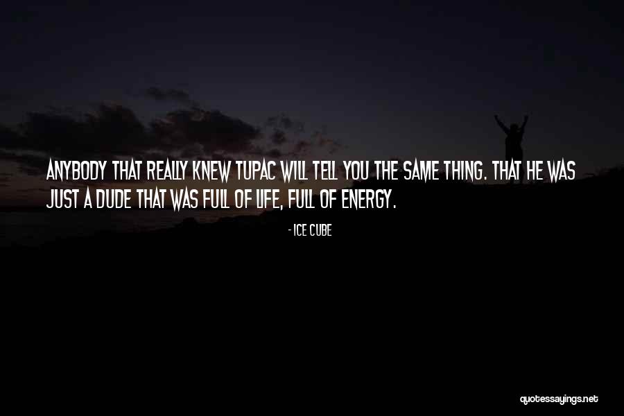 Albigensians Quotes By Ice Cube Albigensians Quotes By Ice Cube
