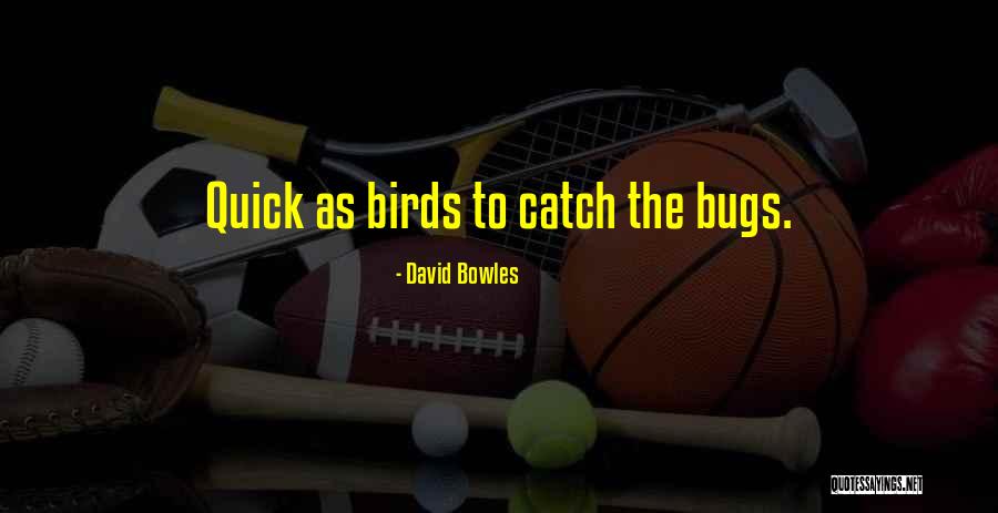 Albinele Referat Quotes By David Bowles Albinele Referat Quotes By David Bowles