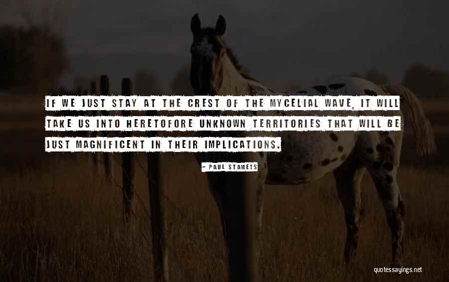 Albinia Ristoranti Quotes By Paul Stamets Albinia Ristoranti Quotes By Paul Stamets