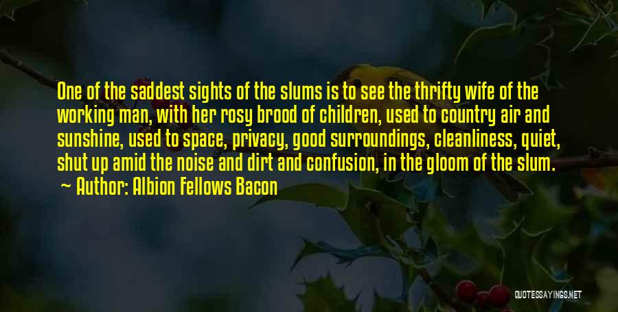 Albion Fellows Bacon Quotes 1343846