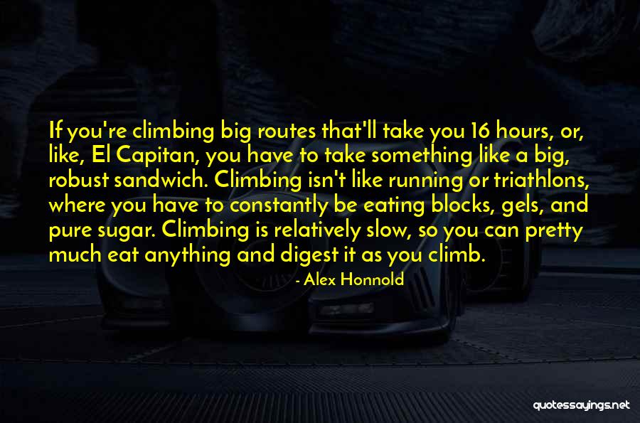 Albion Swords Quotes By Alex Honnold Albion Swords Quotes By Alex Honnold