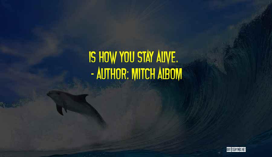 Albom Quotes By Mitch Albom