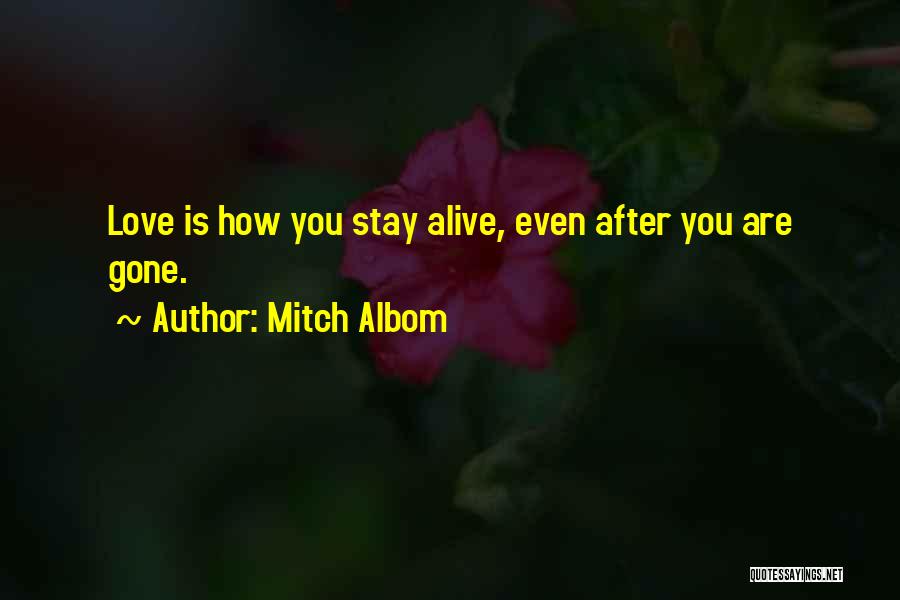 Albom Quotes By Mitch Albom