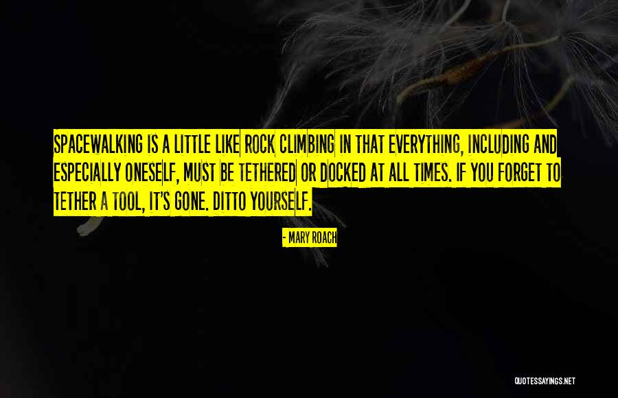 Albrecht Entrati Quotes By Mary Roach Albrecht Entrati Quotes By Mary Roach