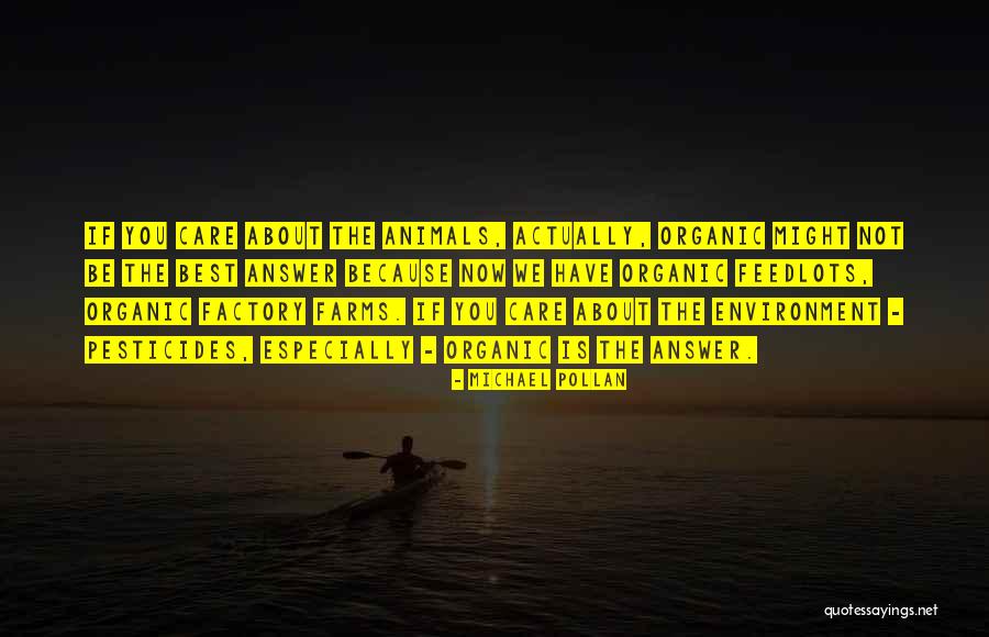 Albrizio Mural Quotes By Michael Pollan Albrizio Mural Quotes By Michael Pollan
