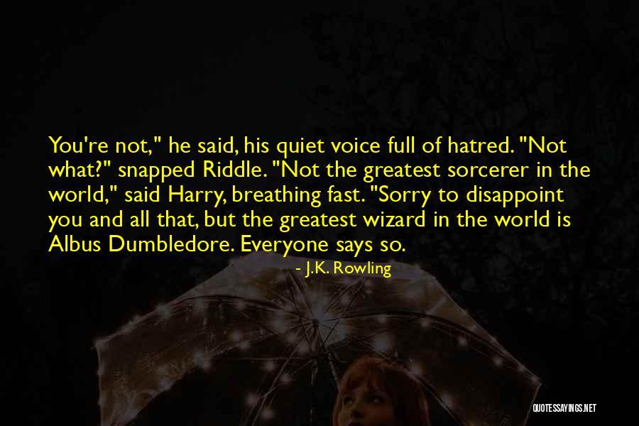 Albus Dumbledore Quotes By J.K. Rowling