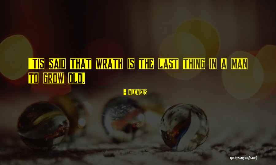 Alcaeus Quotes 997863 Alcaeus Quotes 997863