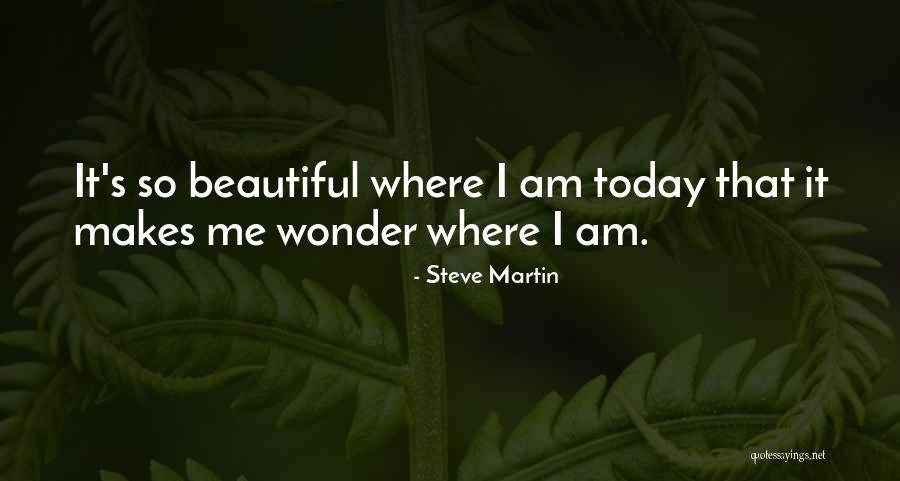 Alcanzar La Cima Quotes By Steve Martin Alcanzar La Cima Quotes By Steve Martin