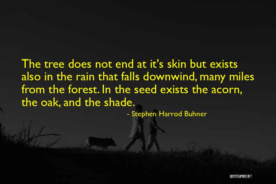 Alcanzar Las Promesas Quotes By Stephen Harrod Buhner Alcanzar Las Promesas Quotes By Stephen Harrod Buhner