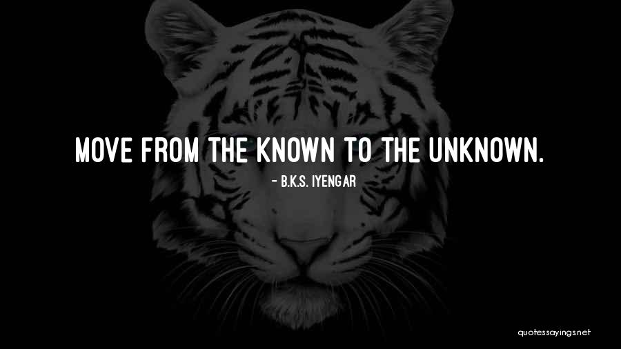 Alcayatas Quotes By B.K.S. Iyengar