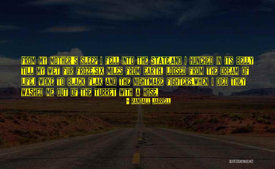 Alchemists Board Quotes By Randall Jarrell Alchemists Board Quotes By Randall Jarrell