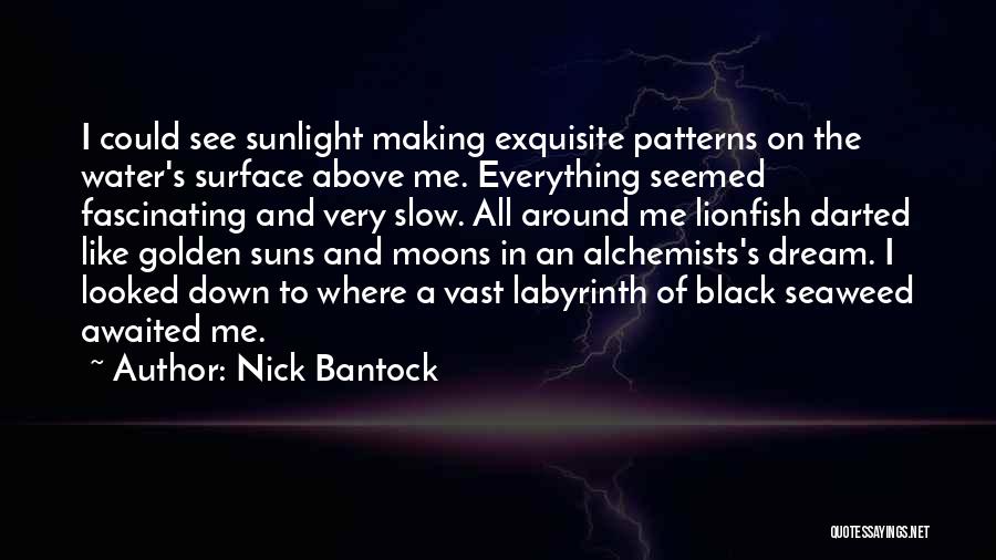 Alchemists Quotes By Nick Bantock