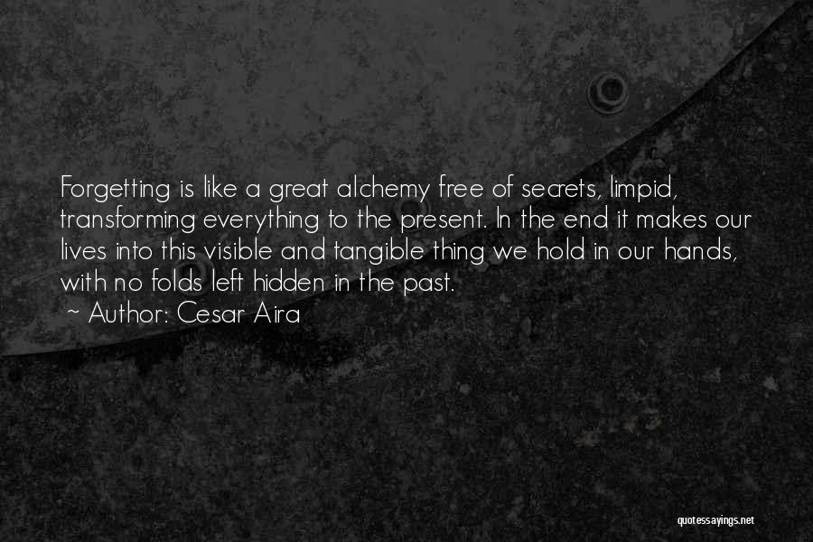 Alchemy Secrets Quotes By Cesar Aira