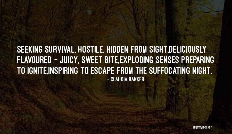 Alchymist Climbing Quotes By Claudia Bakker Alchymist Climbing Quotes By Claudia Bakker