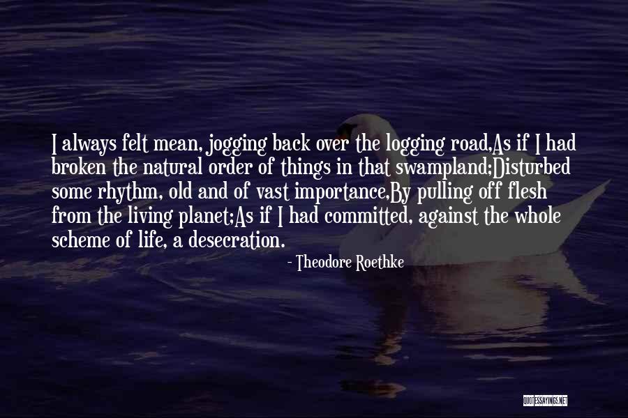 Alchymist Climbing Quotes By Theodore Roethke Alchymist Climbing Quotes By Theodore Roethke