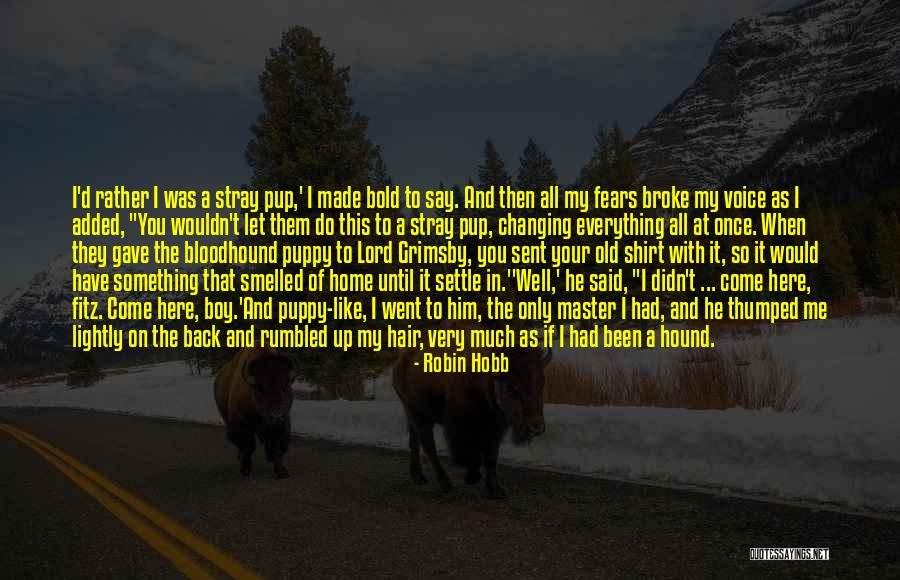 Alcide From True Quotes By Robin Hobb Alcide From True Quotes By Robin Hobb