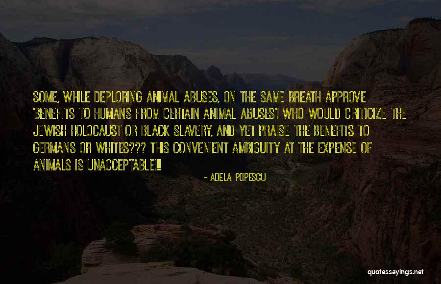 Alcidia Paiva Quotes By Adela Popescu Alcidia Paiva Quotes By Adela Popescu