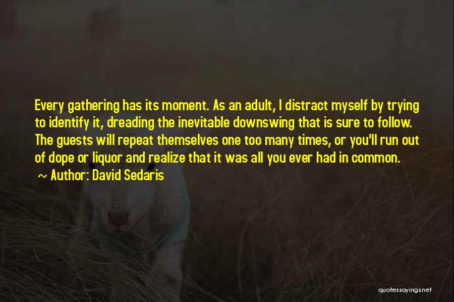 Alcohol And Friends Quotes By David Sedaris