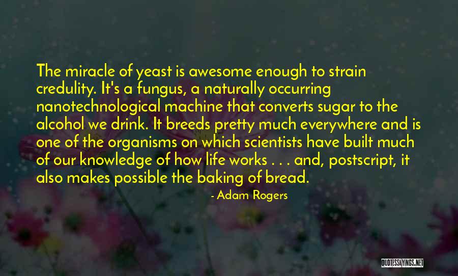 Alcohol And Life Quotes By Adam Rogers Alcohol And Life Quotes By Adam Rogers