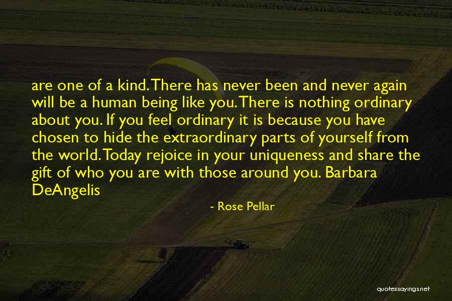 Alcoholics Who Hurt Loved Ones Quotes By Rose Pellar Alcoholics Who Hurt Loved Ones Quotes By Rose Pellar