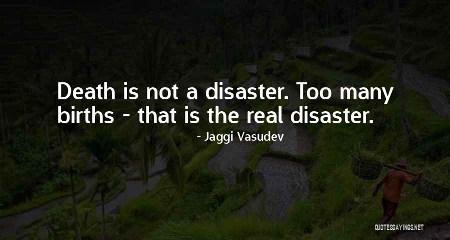 Alconleigh Quotes By Jaggi Vasudev Alconleigh Quotes By Jaggi Vasudev