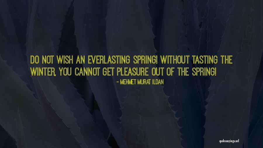 Alcool Quotes By Mehmet Murat Ildan Alcool Quotes By Mehmet Murat Ildan