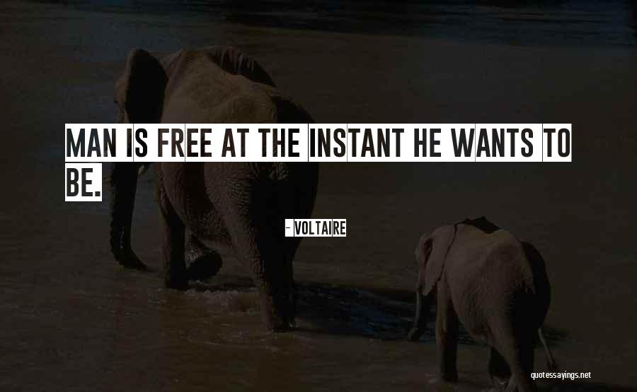 Alcoolici Anonimi Quotes By Voltaire Alcoolici Anonimi Quotes By Voltaire