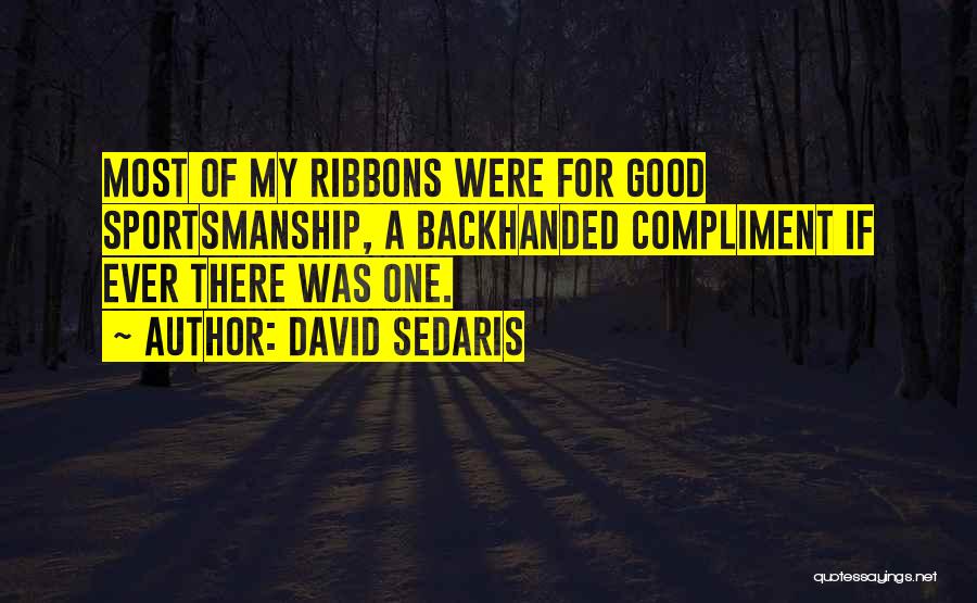 Aldama Muay Quotes By David Sedaris