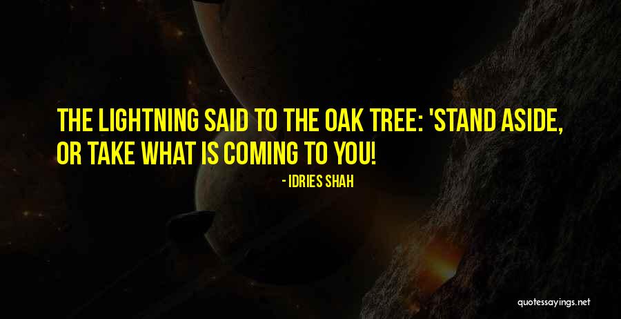 Aldana Owl Quotes By Idries Shah Aldana Owl Quotes By Idries Shah